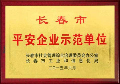 安企業(yè)示范單位